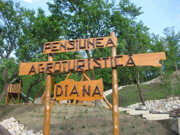 Фотографии Гостевой дом Pensiunea Agroturistica Diana г. Мэгура (Румыния) №5 Фото Гостевой дом Pensiunea Agroturistica Diana г. Мэгура 5