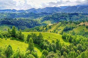 Фотографии Лоджи Alpine Escape Studios г. Мэгура (Румыния) №4 Фото Лоджи Alpine Escape Studios г. Мэгура 4
