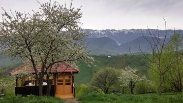 Фото номера Стандартный трехместный номер-студио Лоджи Alpine Escape Studios г. Мэгура 9